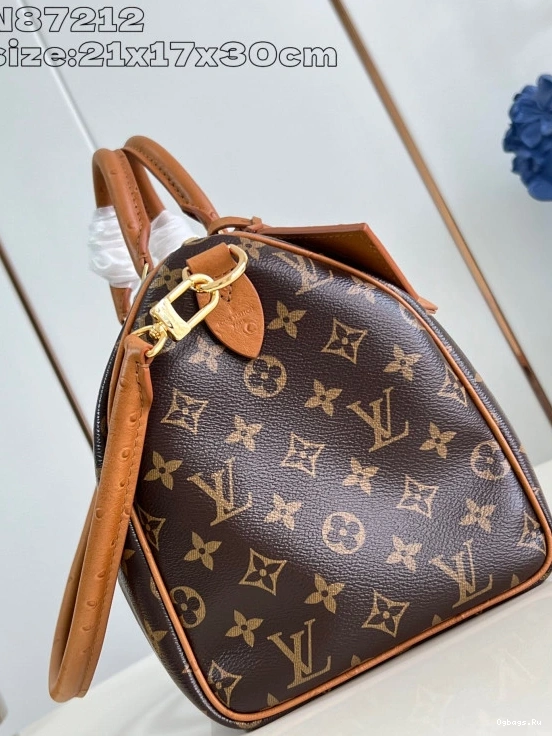 30 Speedy Soft Vuitton Boho Louis 0105